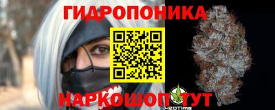 spice Заводоуковск