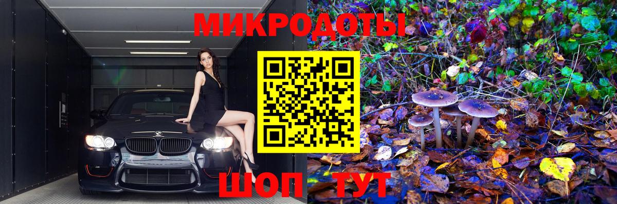 Галлюциногенные грибы Psilocybe Муром